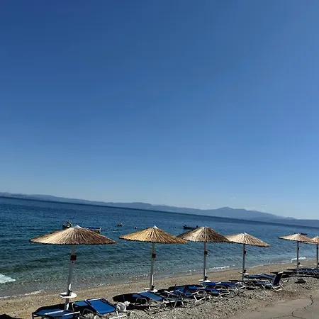 Angelos *